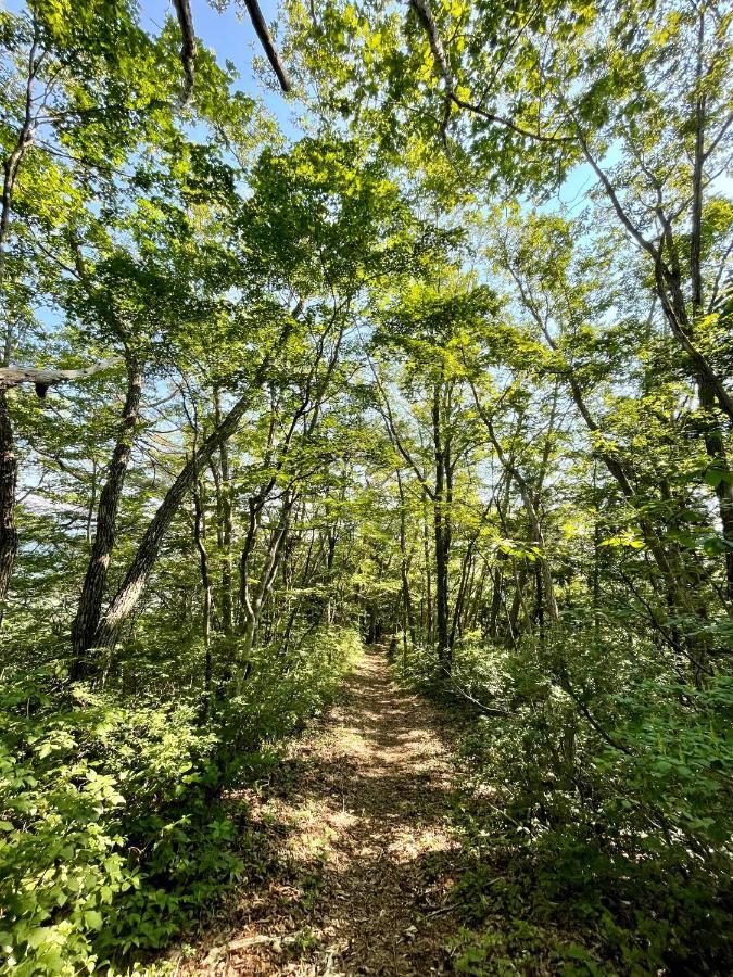 Bears Den Mountain Lodge هاكوبا المظهر الخارجي الصورة