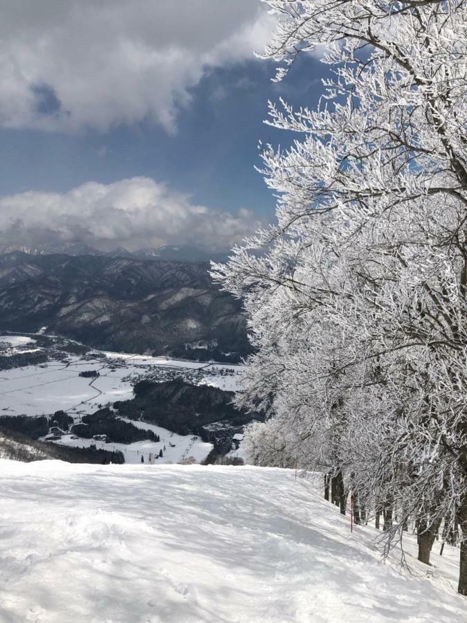 Bears Den Mountain Lodge هاكوبا المظهر الخارجي الصورة